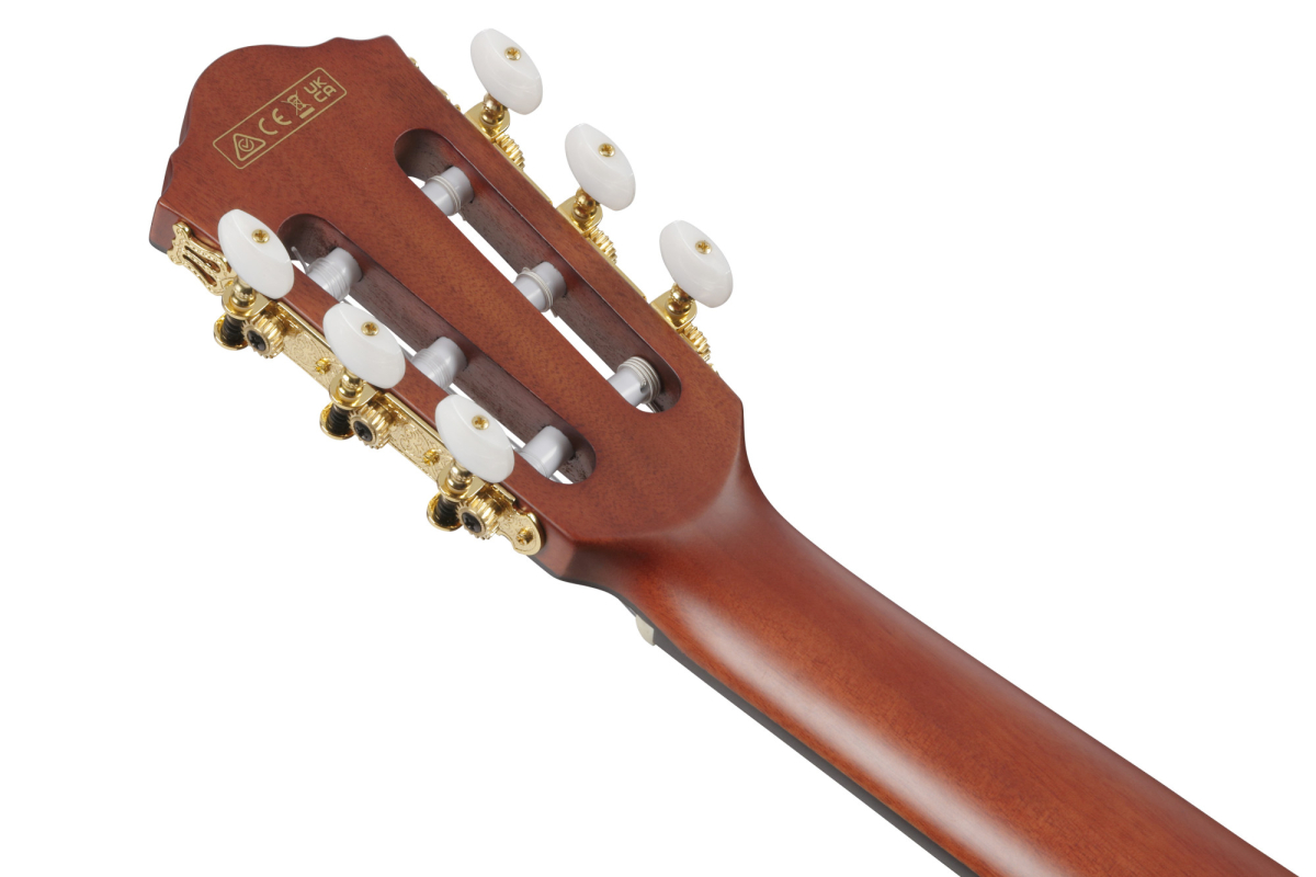 Ibanez FRH20SMN-TCL